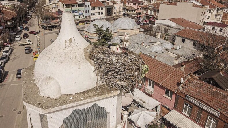 Yenişehir’in tarihi saat kulesinin leylek çifti yuvasına yerleşti