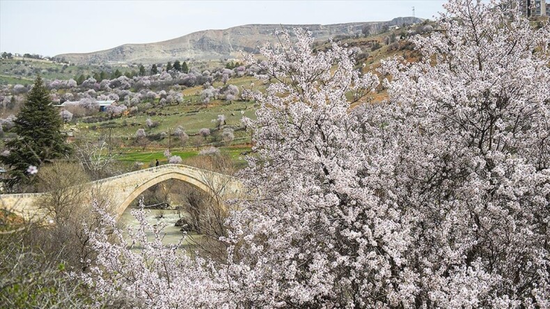 Tarihin doğayla bütünleştiği Çemişgezek’te ilkbahar güzelliği