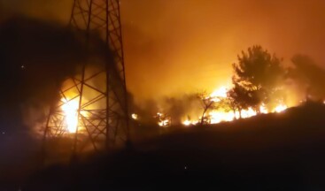 Hatay’da ormanlık alanda yangın çıktı