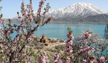 Akdamar Adası badem ağaçlarının çiçekleriyle renklendi