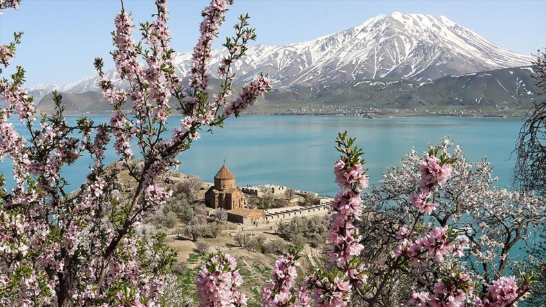 Akdamar Adası badem ağaçlarının çiçekleriyle renklendi