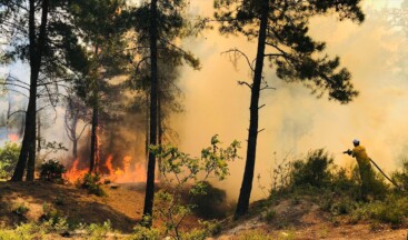 Hatay’da Amanos Dağları eteklerinde orman yangını çıktı