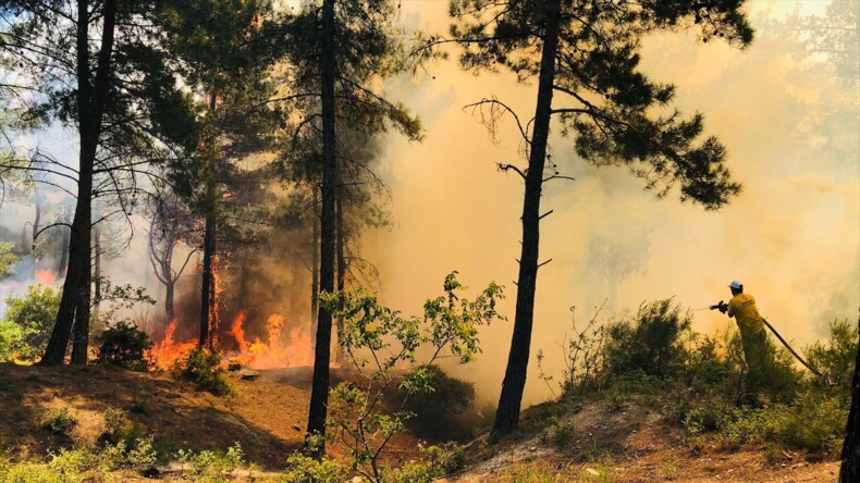 Hatay’da Amanos Dağları eteklerinde orman yangını çıktı