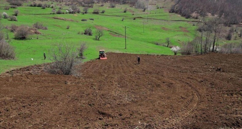 Ordu’da 3 yılda 17 bin 500 dönüm arazi tarıma kazandırıldı