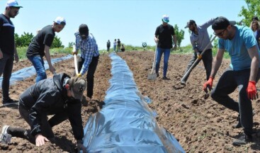 Geleceğin ziraat mühendisleri uygulama bahçelerinde yetişiyor