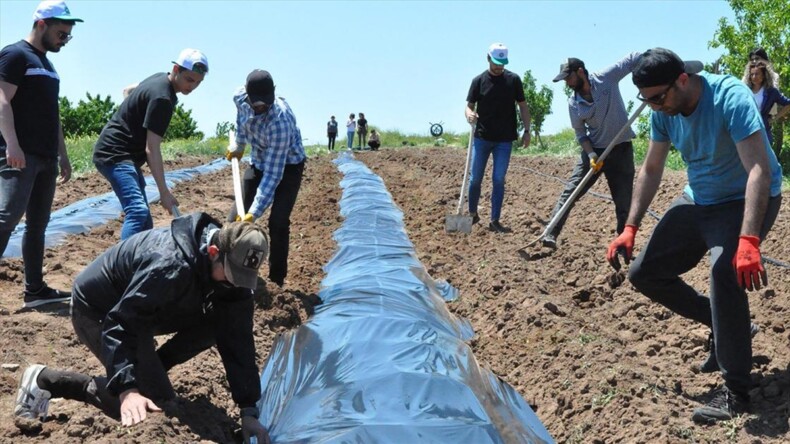 Geleceğin ziraat mühendisleri uygulama bahçelerinde yetişiyor