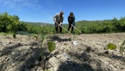 Romanların köyü Bakırlık’ta atıl araziler tarıma kazandırıldı