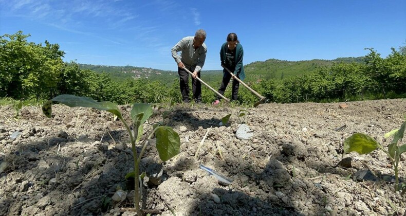 Romanların köyü Bakırlık’ta atıl araziler tarıma kazandırıldı