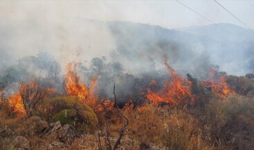 Dalaman’da orman ve makilik alanda yangın çıktı