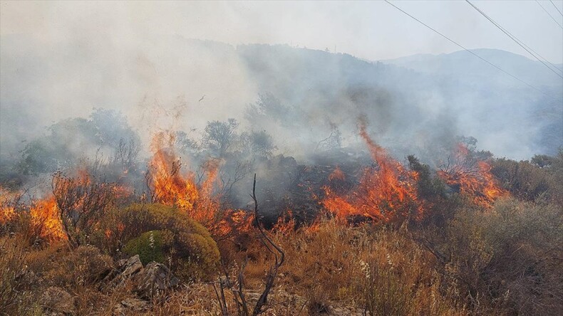 Dalaman’da orman ve makilik alanda yangın çıktı