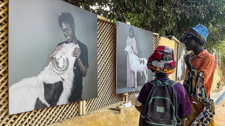 Senegal’de koyunların kralı “ladoum” temalı fotoğraf sergisi açıldı