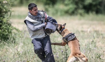 TSK’nın ‘cesur keşif köpekleri’ Bursa’da yetiştiriliyor