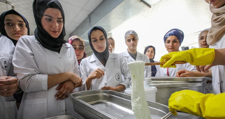 Diyarbakırlı kadınlar İtalyanların dünyaca ünlü mozzarella peynirini üretecek