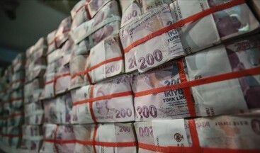 Ek bütçede enerji sektörüne 135 milyar lira ayırıldı