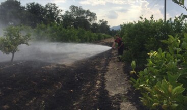 Muğla’da tarım arazisi ve otluk alanda çıkan yangınlar söndürüldü