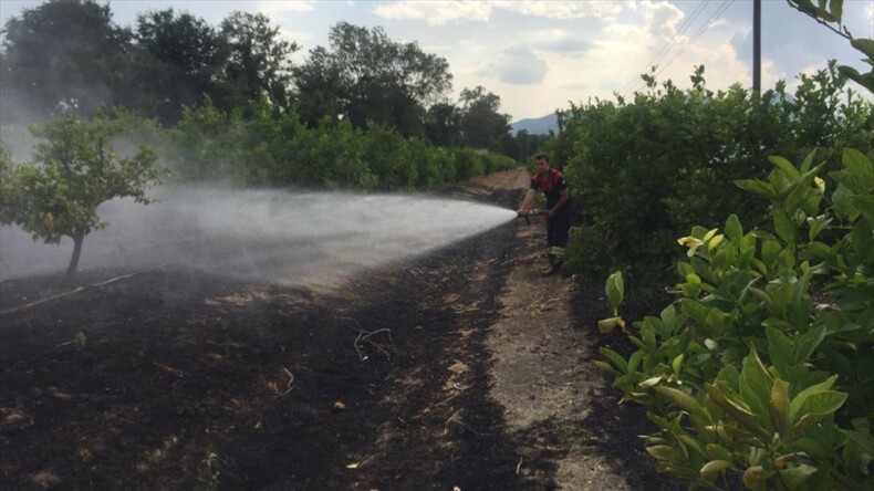 Muğla’da tarım arazisi ve otluk alanda çıkan yangınlar söndürüldü