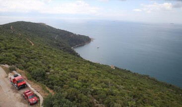 İstanbul ormanlarında “dumansız yangın”la mücadele