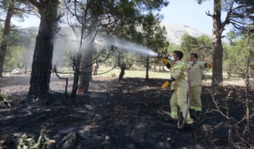 Adana’da 6 noktadaki orman yangınlarıyla ilgili bir zanlı tutuklandı