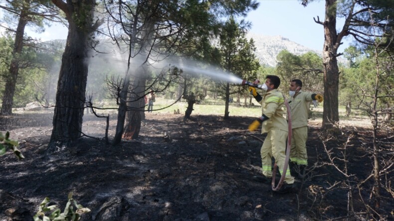 Adana’da 6 noktadaki orman yangınlarıyla ilgili bir zanlı tutuklandı