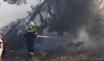 Yunanistan’da orman yangınları devam ediyor