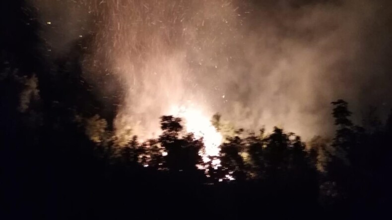 Hatay’da ormanlık alanda çıkan yangına müdahale ediliyor