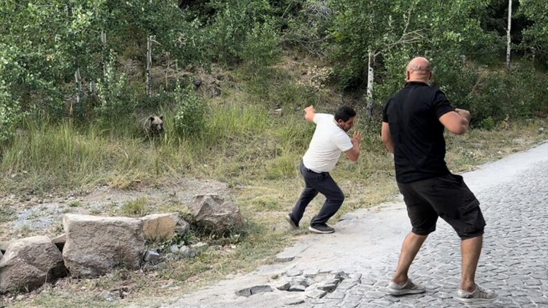 Nemrut Kalderası’na gelen ziyaretçilere bozayıları elle beslememeleri uyarısı