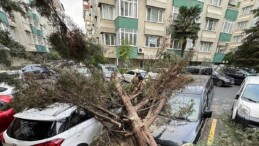 İstanbul’da fırtına hayatı olumsuz etkiledi