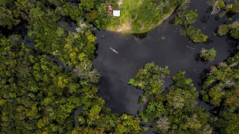 Araştırma: 2023’te Amazonlar’da yaşanan kuraklığın öncül nedeni küresel ısınma