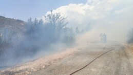 İzmir’de ormanlık ve makilik alanda yangın çıktı