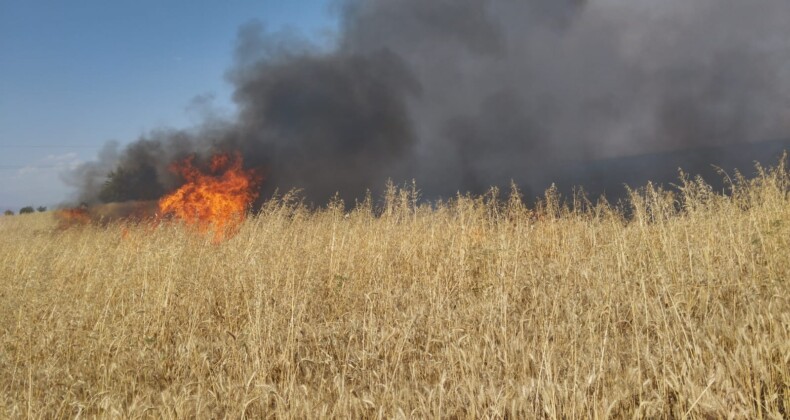 Kahramanmaraş’ta yaklaşık 150 dönüm buğday tarlası yandı