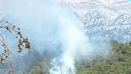 Manavgat’ta çıkan orman yangını kontrol altına alınmaya çalışılıyor