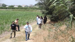 Antalya’da yol kenarında toprağa gömülmüş insan kemikleri bulundu