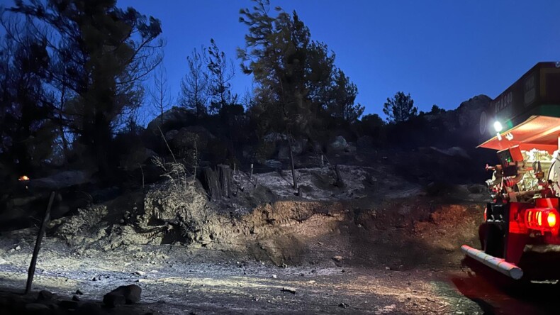 Antalya’da çıkan orman yangını söndürüldü