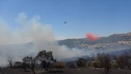 Ayvacık’ın Behram köyünde çıkan yangına müdahale ediliyor 