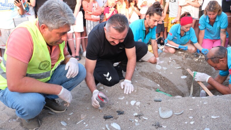 Çıralı Sahili’nde caretta caretta yavrularının yuvalarından denize yolcuğu başladı