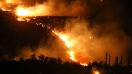 İklim değişikliğiyle artan ısı kubbeleri orman yangınlarına davetiye çıkarıyor