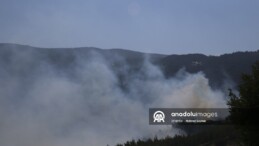 Hatay’da çıkan orman yangını kontrol altına alındı