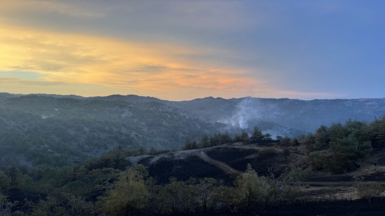 Kahramanmaraş’ta çıkan orman yangınına ekiplerce müdahale ediliyor