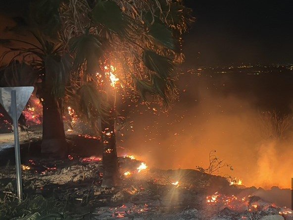 Adana’da çıkan orman yangınına müdahale ediliyor