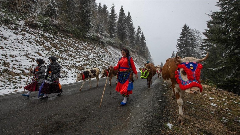 Doğu Karadeniz’de kar yağışı yaylalardan dönüşü hızlandırdı