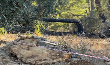 Antalya’nın Alanya ilçesinde model uçak olduğu tahmin edilen hava aracı ormanlık alana düştü.