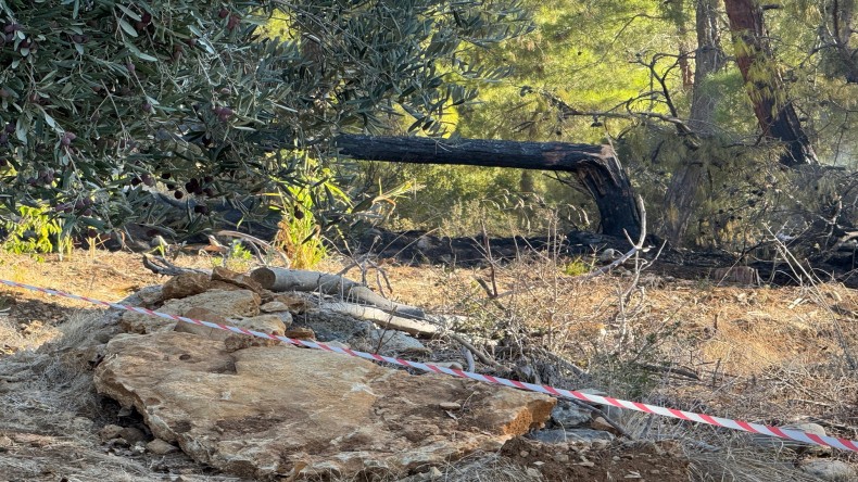 Antalya’nın Alanya ilçesinde model uçak olduğu tahmin edilen hava aracı ormanlık alana düştü.