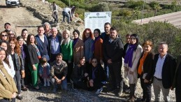 Demre’de dikilen zeytin fidanlarına öldürülen kadınların ismi verildi